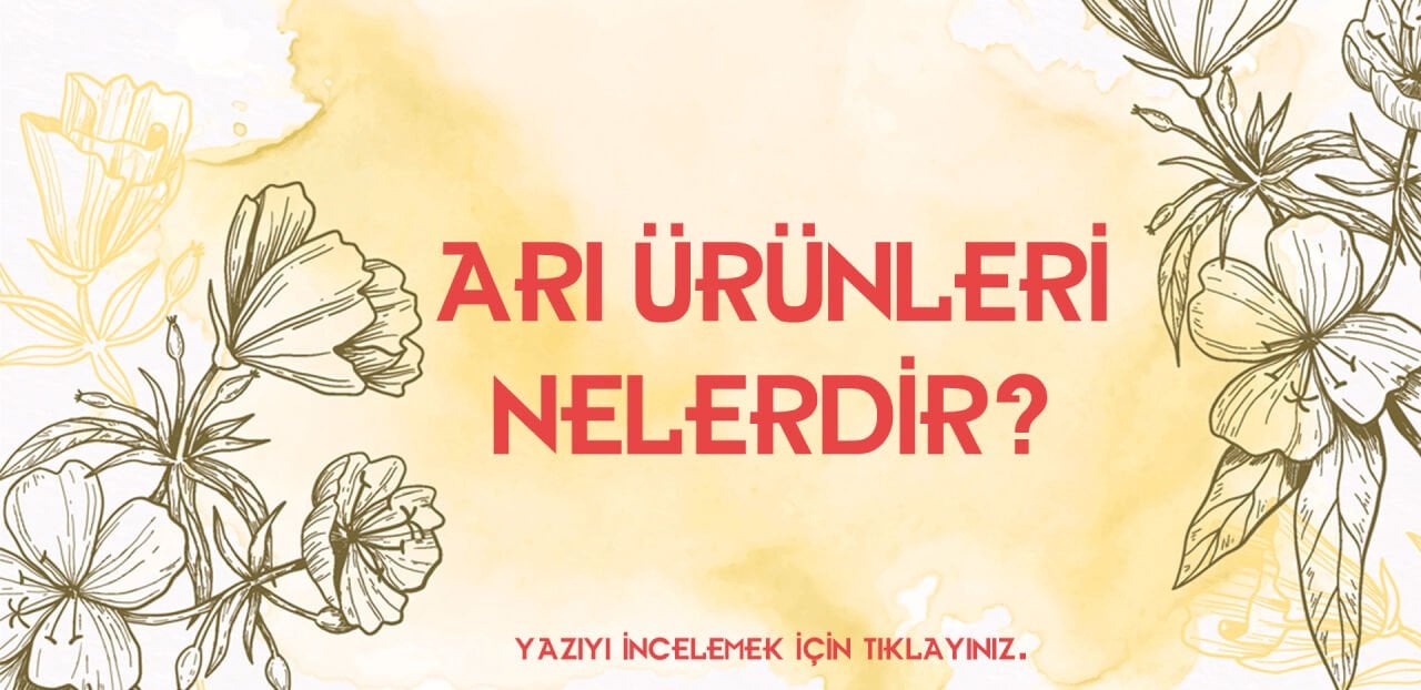 Arı Ürünleri Nelerdir? 