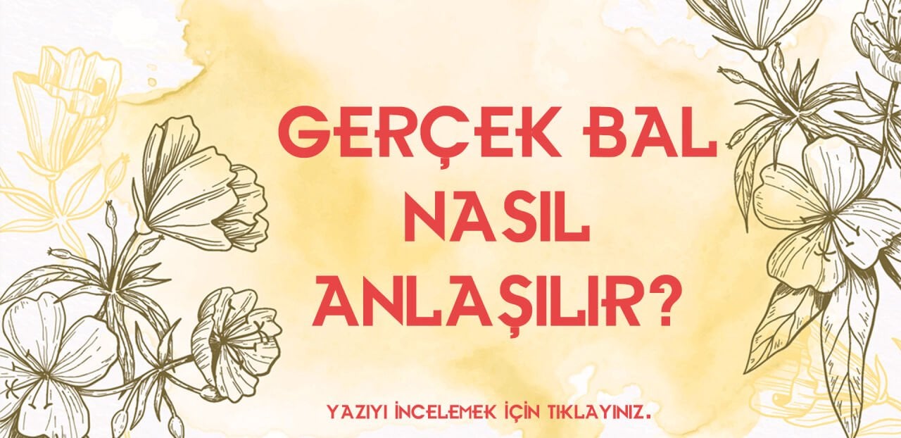 GERÇEK (HAKIKI) BAL NASIL ANLAŞILIR?