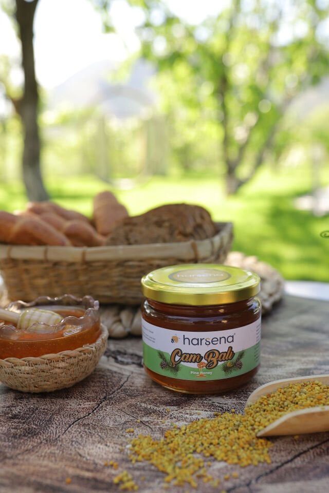 Çam Balı 400g