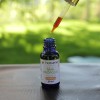 Doğal Propolis